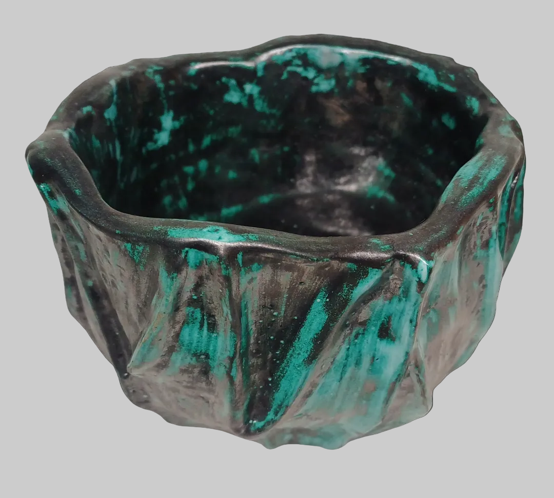 Vasoinvena asimmetrico