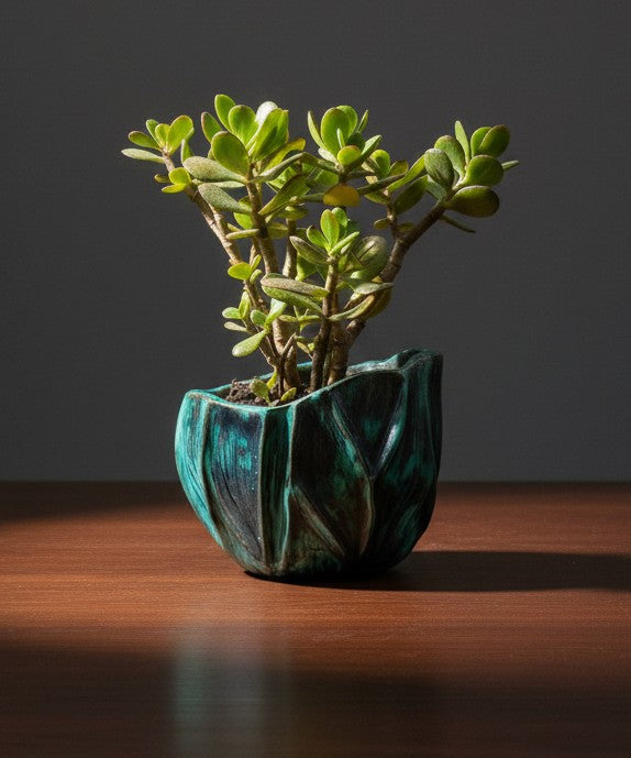 Vasoinvena asimmetrico