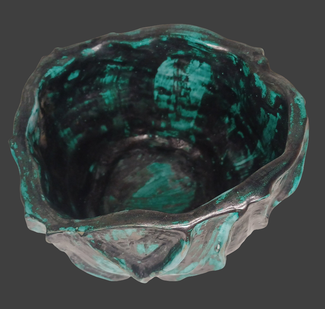 Vasoinvena asimmetrico